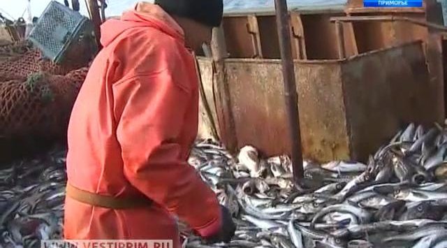 “滨海边疆区新经济”：捕鱼工业特别报告。