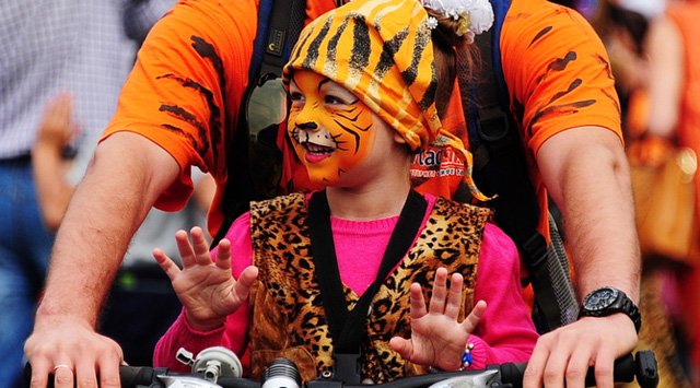 9月25日在符拉迪沃斯托克将举行老虎日狂欢节活动