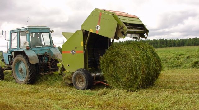 诺伐李拖夫斯卡农业联合公司的农牧民正储备过冬干草