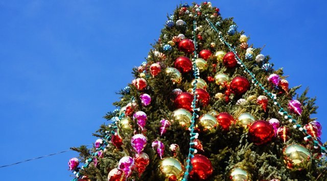新年前夕将用9棵漂亮的圣诞树装饰符拉迪沃斯托克