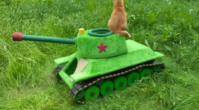 俄新西伯利亚工程师为猫制作坦克房
