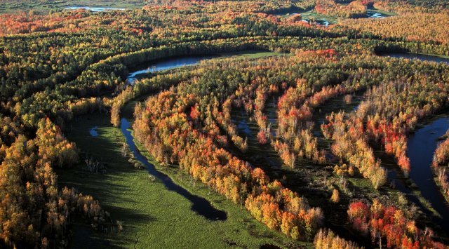 俄罗斯滨海边疆区政府拨出4000万卢布进行森林调查设计