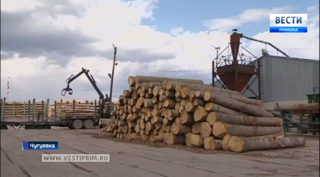 丘古耶夫卡区顺利地实施了发展森林工业的国家项目