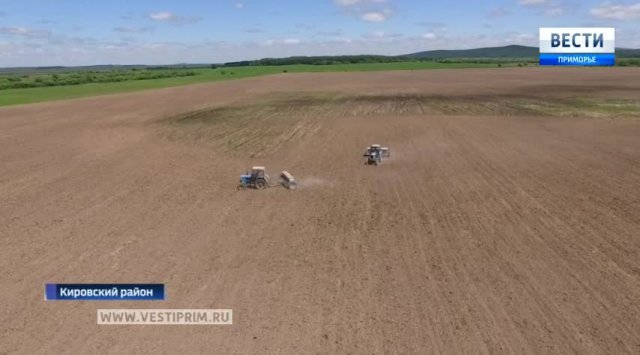 在俄罗斯滨海边疆区基洛夫区地里进行种大豆