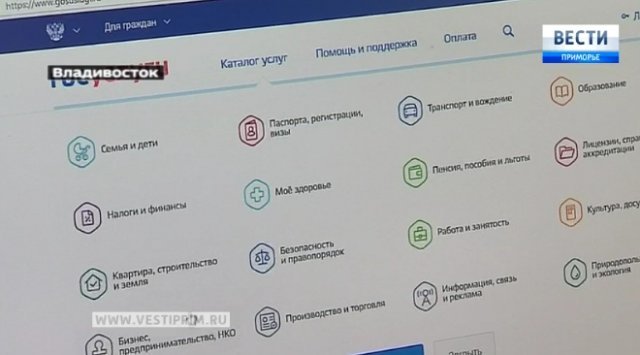 “滨海边疆区电子信息“：什么是电子政府，通过互联网可以提交什么申请?