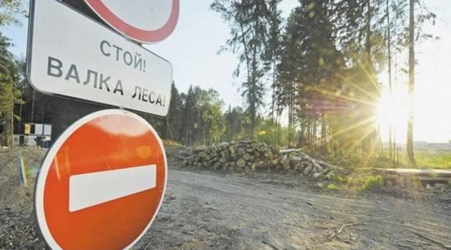 俄滨海边疆区启动木材交易所电子平台
