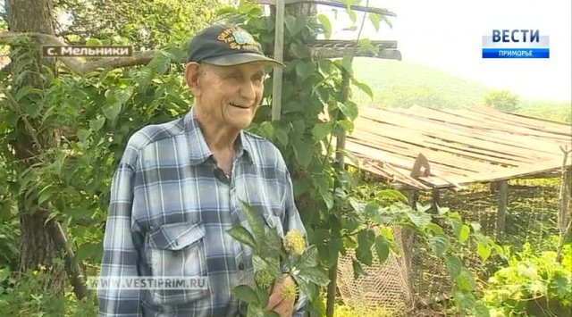 “滨海边疆区 – 80岁！我们的历史”采访Nikolai Kovalchuk种植人参的专家