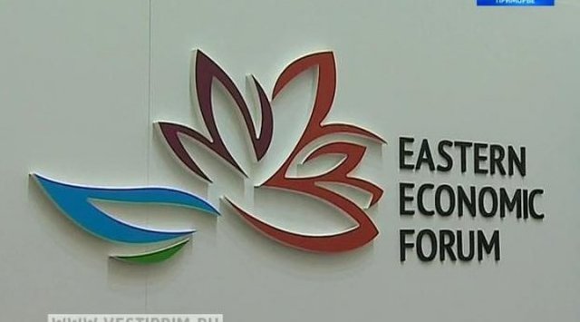 中国代表团在2018年东方经济论坛上将最具代表性