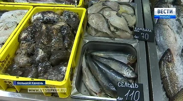 滨海边疆区开始提供实惠的价格鱼类用品