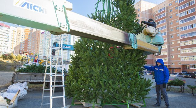 符拉迪沃斯托克已经安装了第一棵圣诞树