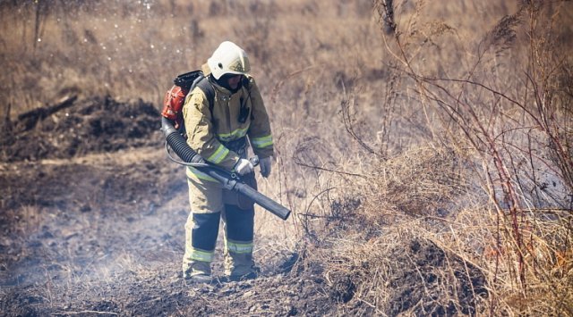 在滨海边疆区一天熄灭了19日森林大火