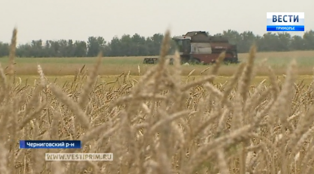 收获之战：在切尔尼戈夫一个很好的农场收获900公顷的谷物