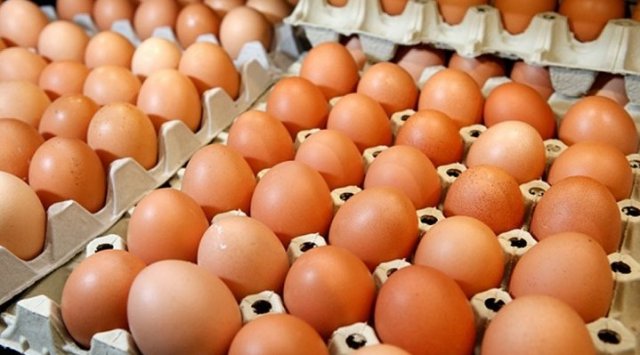 滨海边疆区可能发生鸡蛋危机